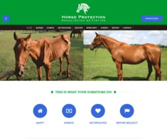 Hpaf.org(Horse Protection Association of Florida) Screenshot