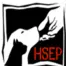 Hselpaso.org Logo