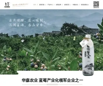 Hsfarming.com(蓝莓酒) Screenshot