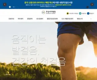 Hshos.com(효성시티병원) Screenshot