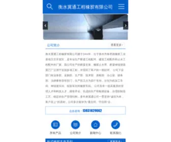 Hsjitong.com(衡水冀通工程橡胶有限公司) Screenshot