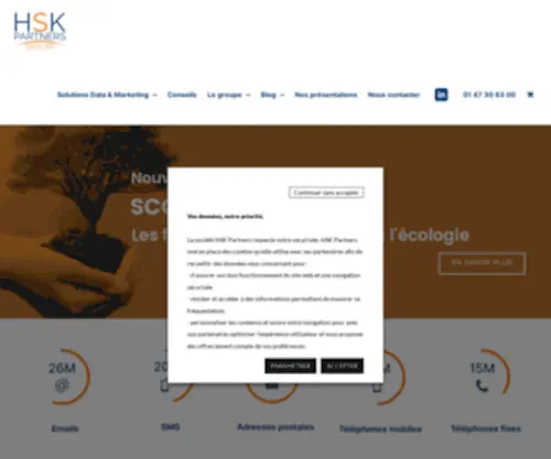 HSK-Partners.com(HSK Partners) Screenshot