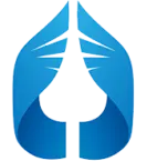 HSRDScpas.com Favicon