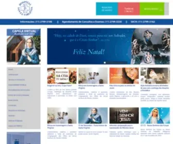 HSV.org.br(Hospital São José do Brás) Screenshot