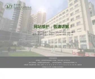 Huadonghospital.com(华东医院) Screenshot