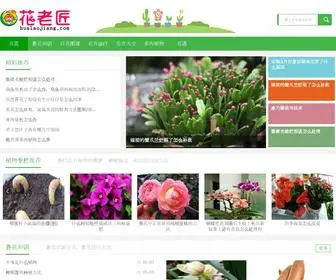 Hualaojiang.com(花老匠) Screenshot