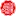 Huasenghong.com Favicon
