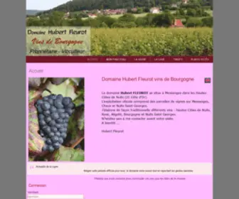 Hubertfleurot-Vinsdebourgogne.fr(Accueil) Screenshot