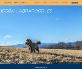 Hudsondoodles.com(Hudson Labradoodles) Screenshot