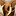 Huggers.ca Favicon