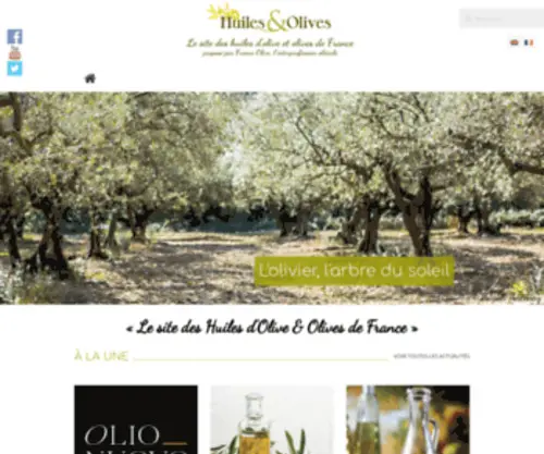 Huiles-ET-Olives.fr(Huiles ET Olives) Screenshot