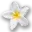 Hula-Leiwehihiwahiwa.com Favicon