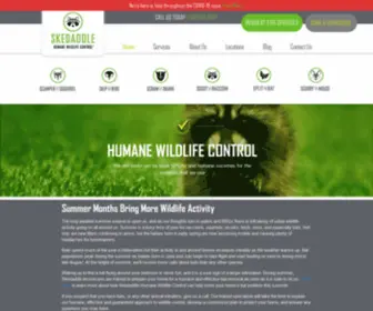 Humanewildlifecontrol.com(Skedaddle Humane Wildlife Control) Screenshot