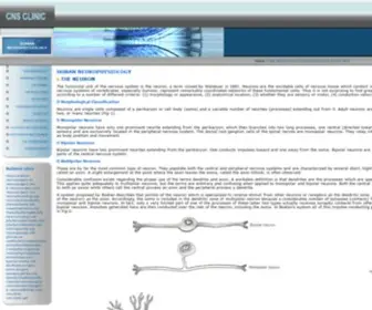 Humanneurophysiology.com(HUMAN NEUROPHYSIOLOGY) Screenshot
