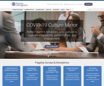 Humansynergistics.com(Improving Work Culture and Developing Leaders) Screenshot