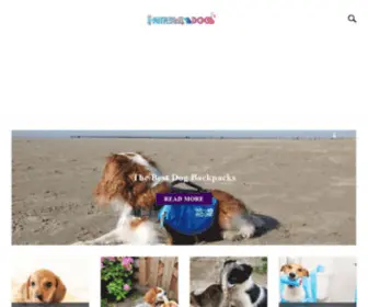 Humbledogs.com(Walking your dog with love) Screenshot