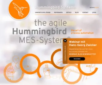 Hummingbird-SYstems.com(Hummingbird Systems) Screenshot