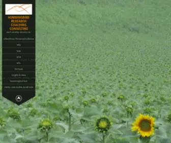 Hummingbirdrcc.com(Hummingbirdrcc) Screenshot
