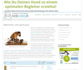 Hund-UND-Futter.de(Ernährung bei Welpen) Screenshot