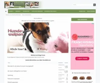 Hunde-Aktuell.de(Hundeforum Hunde Aktuell) Screenshot
