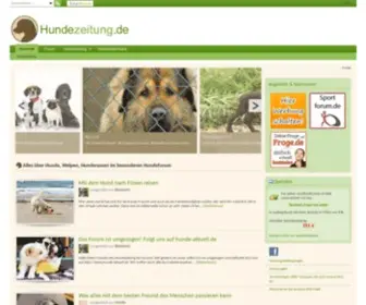 Hunde-Community.de(Hundeforum, Hunde, Welpen, Hunderassen) Screenshot