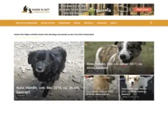 Hunde-IN-Not.com(Hunde in Not) Screenshot