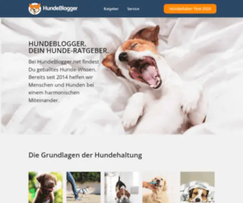 Hundeblogger.net(Das Online) Screenshot