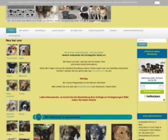 Hundegarten-Serres.de(Save a life today) Screenshot