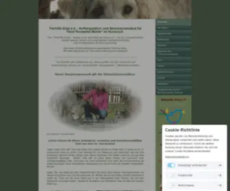 Hundehilfe-Ibiza.de(Tierhilfe Ibiza e.V) Screenshot