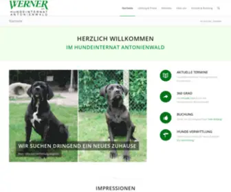 Hundeinternat.de(Hundeinternat Antonienwald) Screenshot