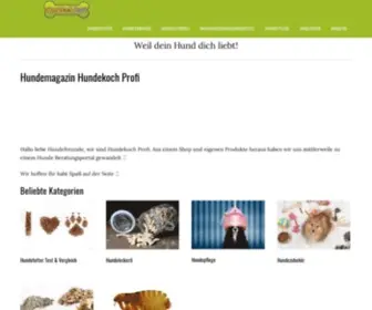 Hundekochprofi.de(Hundemagazin Hundekoch Profi) Screenshot