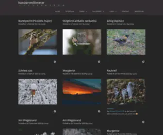 Hundertmillimeter.de(hundertmillimeter) Screenshot