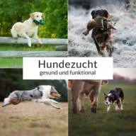 Hundezucht-Podcast.de Favicon