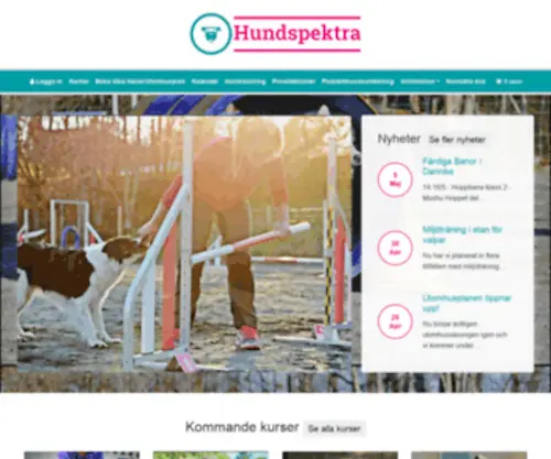 Hundspektra.se(Hundträningshallar i centrala Borås) Screenshot