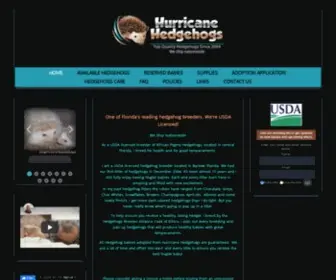 Hurricanehedgehogs.com(Hurricane Hedgehogs Hurricane Hedgehogs) Screenshot