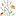 Hurstflowermeadow.com Favicon