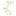 Husetari.ro Favicon