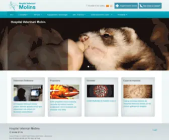 Hvmolins.com(Benvingut a Hospital Veterinari Molins) Screenshot