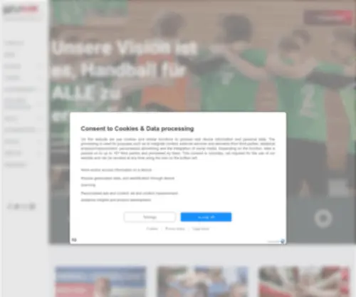 HVNB-Online.de(Handball für alle) Screenshot