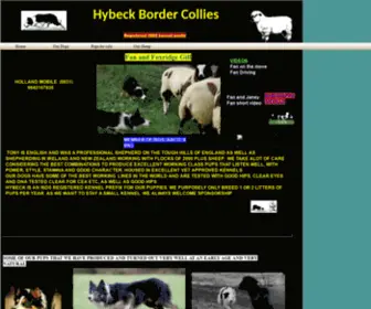 Hybeck.tk(Hybeck Border Collies) Screenshot