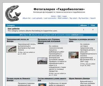 HYdrobiology.ru(Фотогалерея) Screenshot