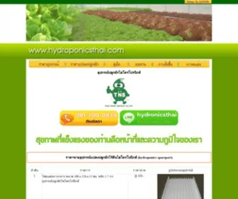 HYdroponicsthai.com(ไฮโดรโปนิสก์ไทย) Screenshot