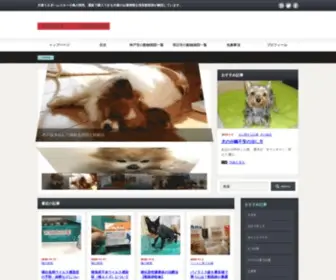 Hyogo-Animalhospital.com(獣医師) Screenshot