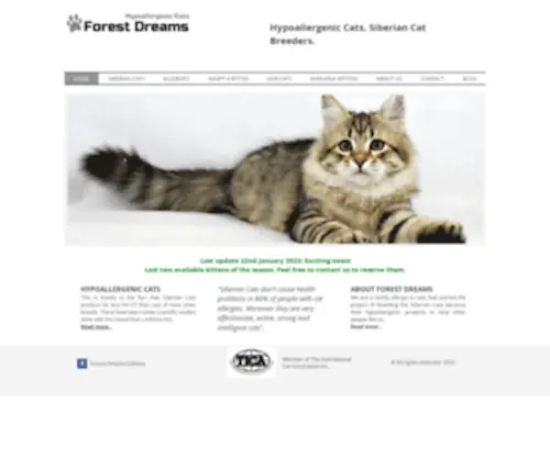 Hypoallergeniccats.co.uk(Forest Dreams) Screenshot