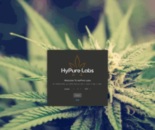 Hypurelabs.com(HyPure Labs Premium Delta 8) Screenshot