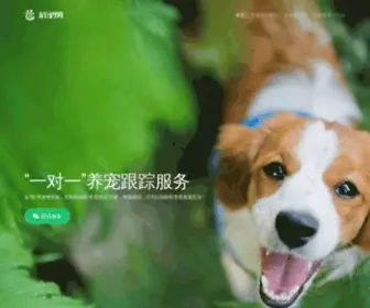 HZchong.com(杭宠网) Screenshot