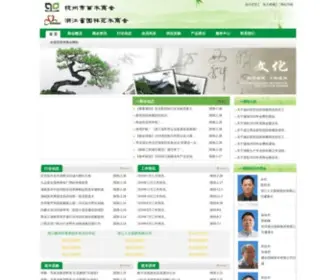 Hzmiaomush.com(杭州市苗木商会正式) Screenshot