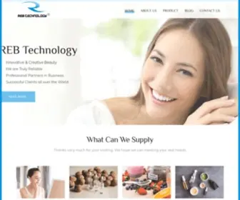 Hzrebtech.com(REB TECHNOLOGY) Screenshot