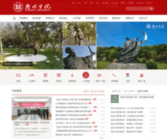 Hzu.edu.cn(惠州学院) Screenshot