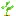 I-Garden.ru Favicon